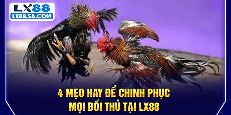 4 mẹo hay để chinh phục mọi đối thủ tại LX88