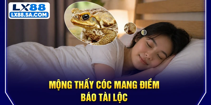 Mộng thấy cóc mang điềm báo tài lộc