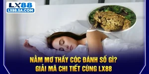 Nằm Mơ Thấy Cóc Đánh Số Gì? Giải Mã Chi Tiết Cùng LX88