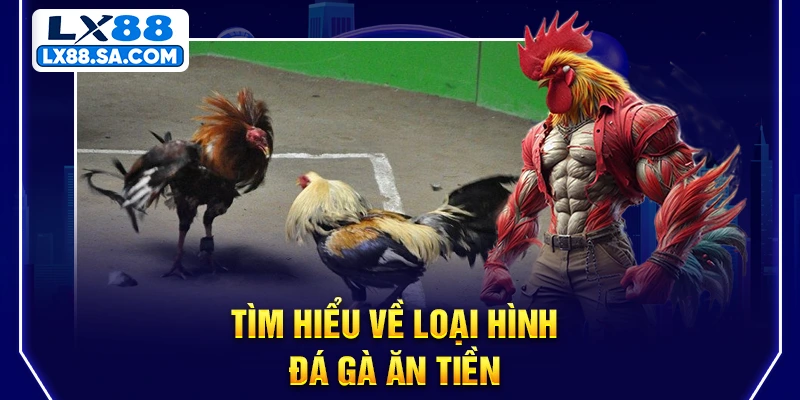 Tìm hiểu về loại hình đá gà ăn tiền